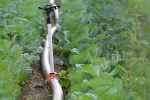 Namakanlni sistem (1 of 1)